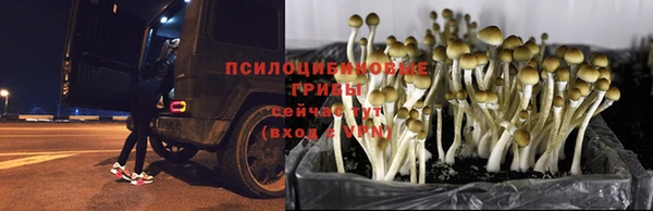 МДПВ Белоозёрский