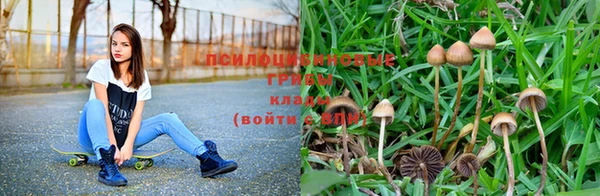 гидра Богородицк