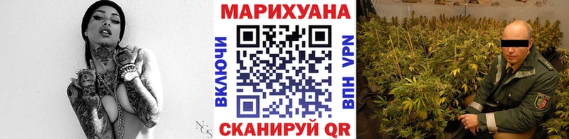 Конопля сатива Красноуфимск